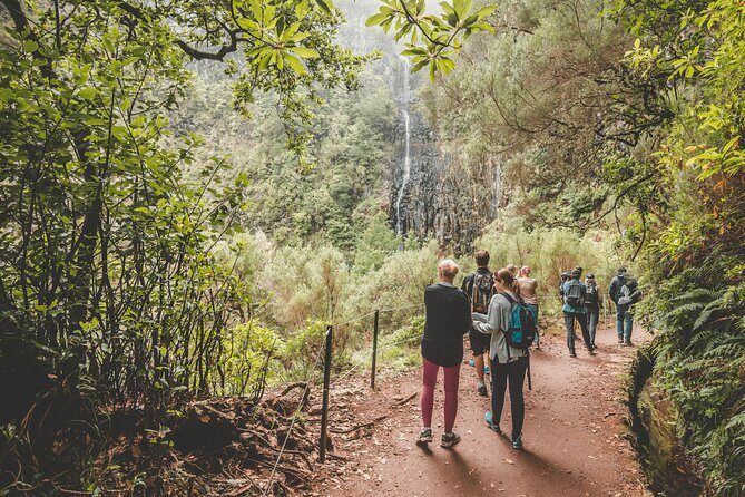 25 Fountains Levada: Hiking Tour in Madeira Rabaçal Valley (PR6) - The 800m tunnel ending: the part you either love or plan for