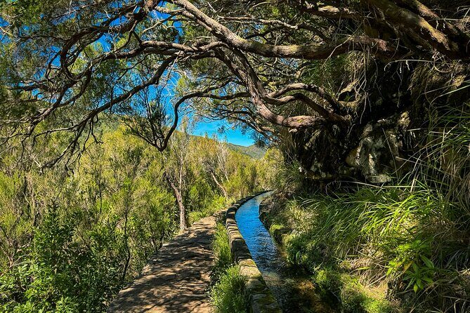 25 Fountains Levada: Hiking Tour in Madeira Rabaçal Valley (PR6) - Terrain reality check: moderate fitness, uneven steps, and no restrooms