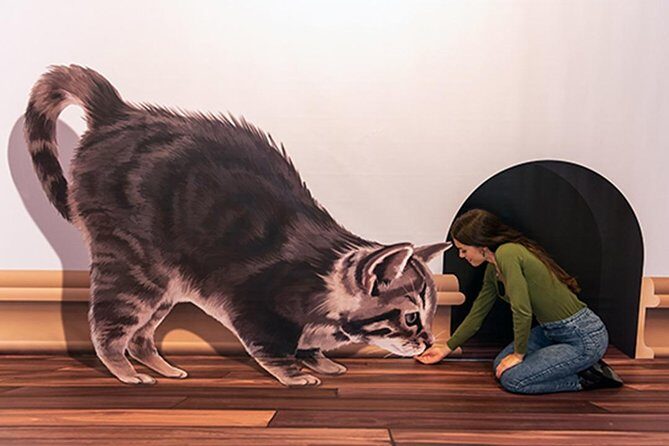 3D Fun Art Museum Funchal - Rainy-Day Fun That Still Feels Like Madeira