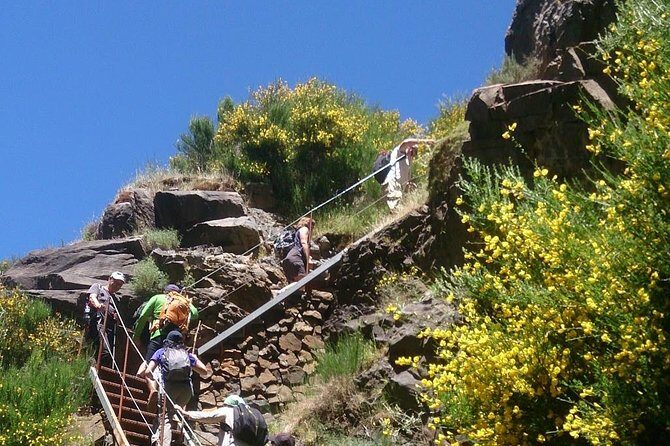 Achadas Teixeira- Pico Ruivo -& Pico pedras/Queimadas forest walk - The Queimadas and Pico das Pedras sections: shorter, but still worth it