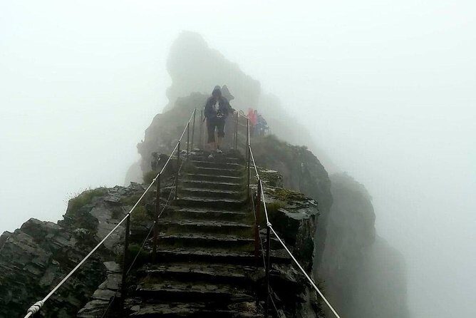 Achadas Teixeira- Pico Ruivo -& Pico pedras/Queimadas forest walk - If your route includes a levada walk, here’s why that’s a win