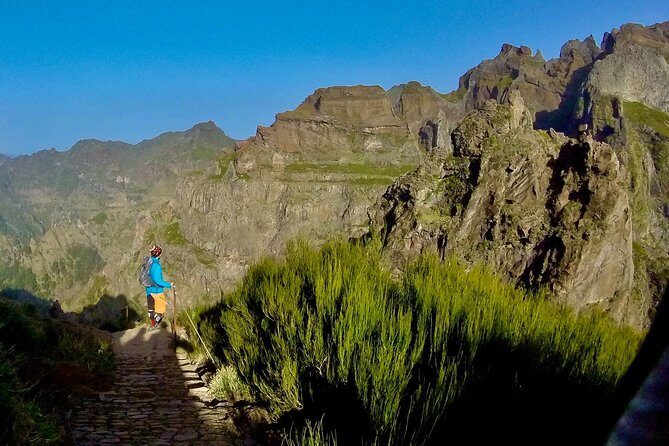 Achadas Teixeira- Pico Ruivo -& Pico pedras/Queimadas forest walk - The August 2024 fire reality: what you’re likely to do instead