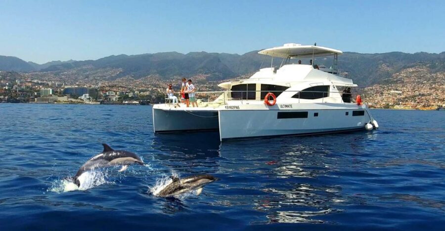 All Inclusive Whale and Dolphin Watching Luxury Tour - The boat experience: indoor/outdoor seating and real “space to breathe”
