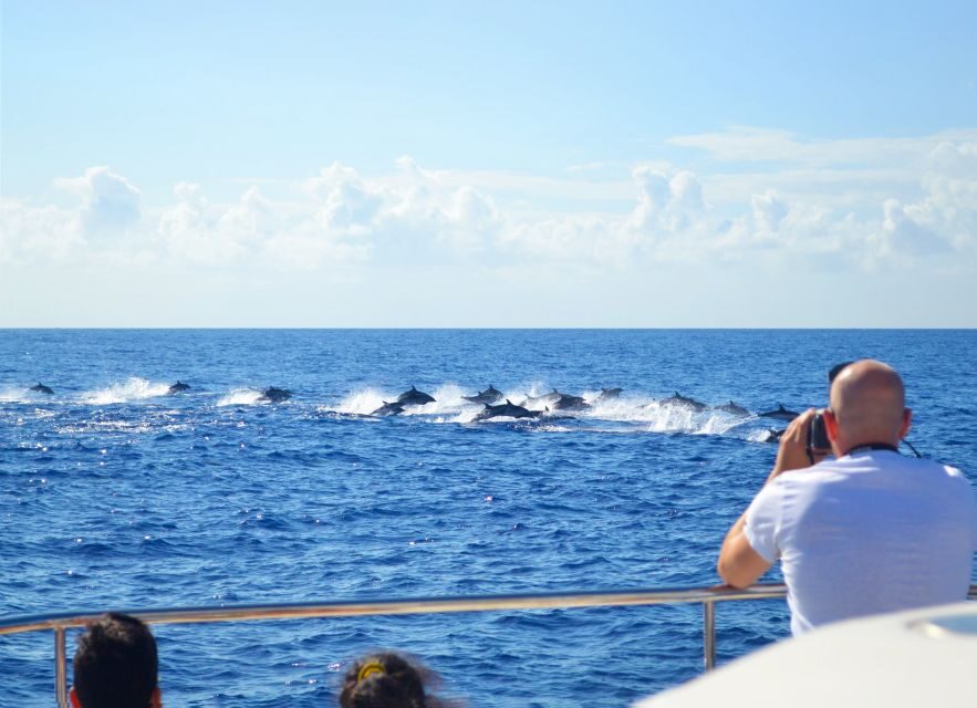 All Inclusive Whale and Dolphin Watching Luxury Tour - The first sailing hour: scouting the waters around Madeira