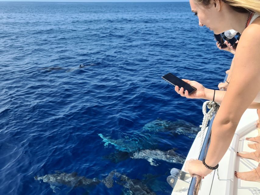 All Inclusive Whale and Dolphin Watching Luxury Tour - The “secret stop” segment: snacks, drinks, and hands-on spotting