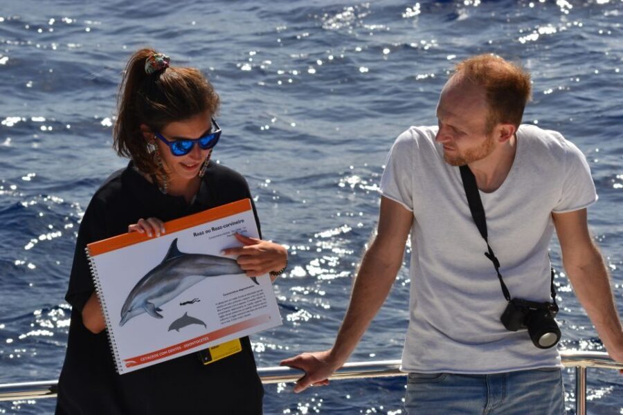 All Inclusive Whale and Dolphin Watching Luxury Tour - Open bar and local snacks: what “all inclusive” really means