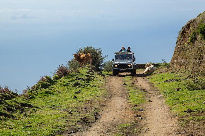 Amazing West - Jeep Safari Tour - Full Day - Shared Tour - Key Highlights Worth Knowing