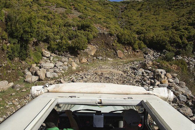 Amazing West - Jeep Safari Tour - Full Day - Shared Tour - Fanal Forest at Posto Florestal: What You Get for 20 Minutes