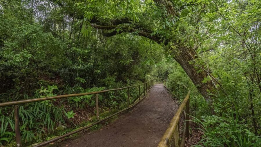 Caldeirão Verde: Queimadas PR9 Transfer and Self-Guided Hike - Key things to know before you go