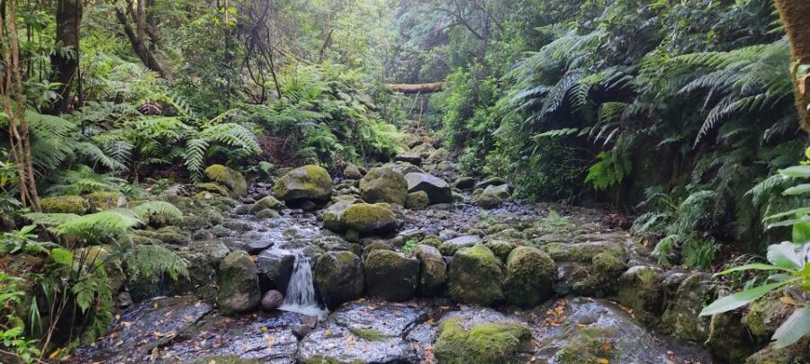 Caldeirão Verde: Queimadas PR9 Transfer and Self-Guided Hike - Who should book this Caldeirão Verde self-guided hike?
