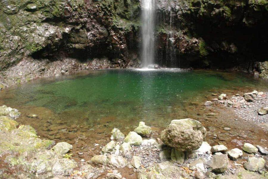 Caldeirão Verde: Queimadas PR9 Transfer and Self-Guided Hike - What you’ll actually see: waterfalls, endemic trees, and the Levada rhythm