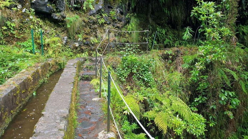 Caldeirão Verde: Queimadas PR9 Transfer and Self-Guided Hike - What to bring (and what to add) for a comfortable Madeira forest day