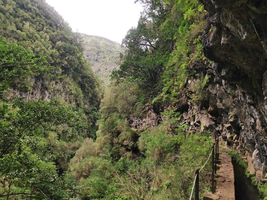 Caldeirão Verde: Queimadas PR9 Transfer and Self-Guided Hike - Price and value: $38 plus a €3 forest fee, with transport doing the heavy lifting