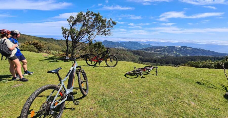 Camacha: Levada Trail e-Bike Guided Tour - Key highlights you’ll feel on the ride