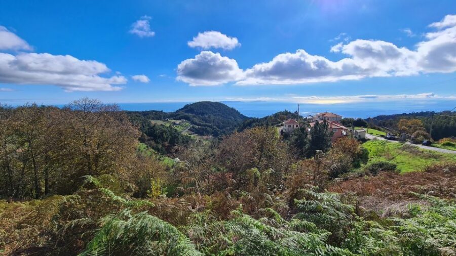 Camacha: Levada Trail e-Bike Guided Tour - Camacha to the Laurisilva: what makes this levada ride special