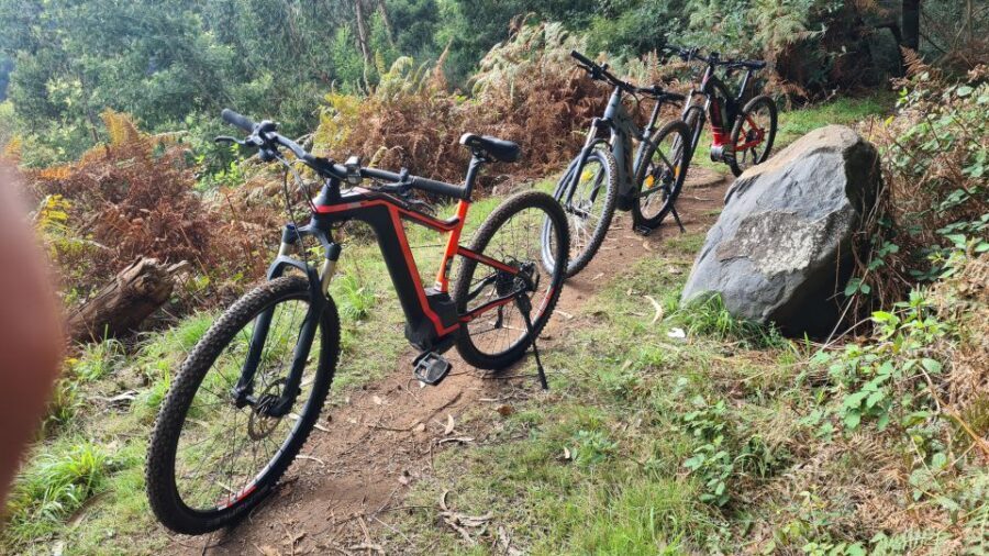 Camacha: Levada Trail e-Bike Guided Tour - Meeting the e-bike in Camacha: easy control, real trail time