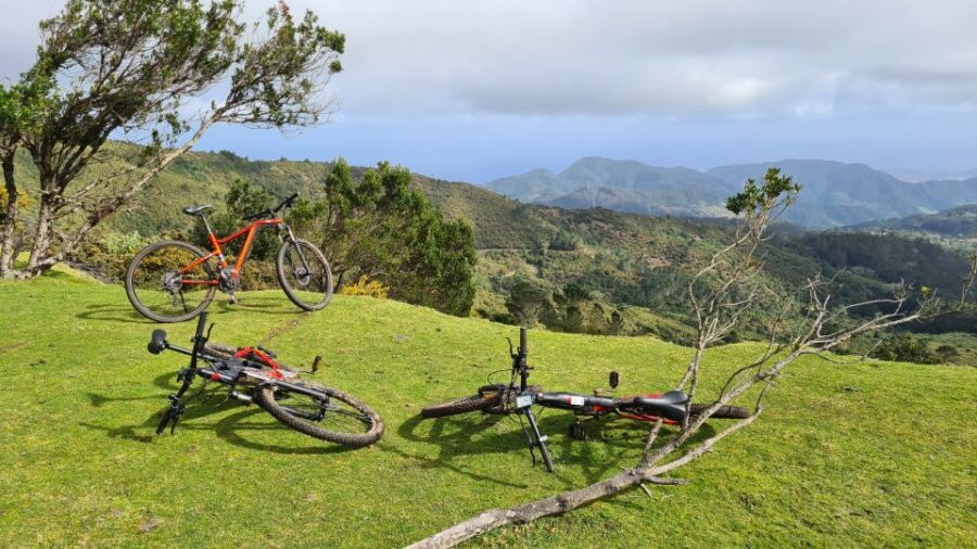 Camacha: Levada Trail e-Bike Guided Tour - The rest break: water mill vibes and a funny-shaped tree stop