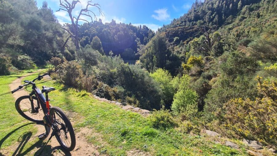 Camacha: Levada Trail e-Bike Guided Tour - Pacing, bikes, and who this tour fits best