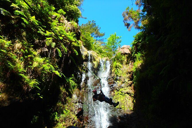 Canyoning Madeira Island - Level One - Why the Small Group Matters in a Wet, Busy Sport