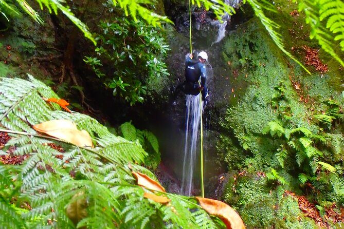 Canyoning Madeira Island - Level One - Guides: Names You’ll Hear, and Why They Matter