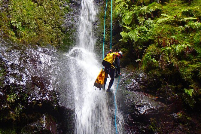 Canyoning Madeira Island - Level Two - Photos included: a smart way to remember the day