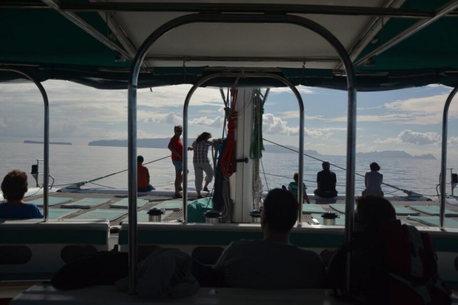 Desertas Islands Full-Day Catamaran Trip from Funchal - Sailing the south coast: dolphins and whales when the sea cooperates