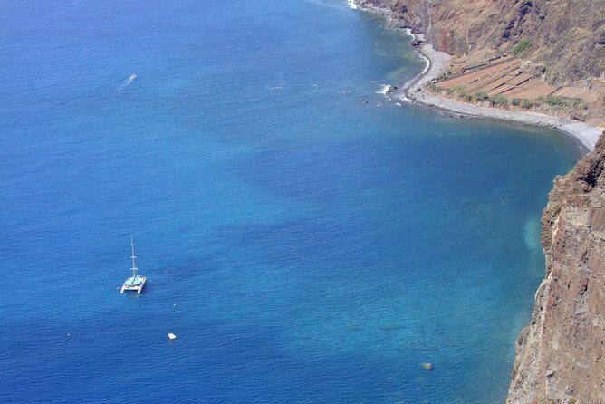 Dolphin and Whale Watching Catamaran Cruise from Funchal - Price and Value: Is $48.27 a Smart Deal?