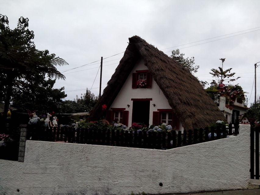 Eastern Madeira: Full-Day Tour with Rum Tasting - Ribeiro Frio and the Balcões levada: a short walk with real texture