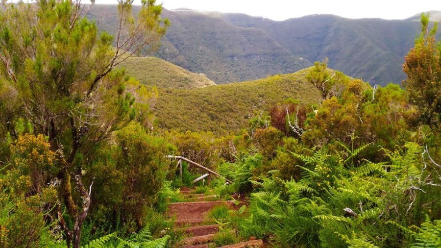 Fanal / Assobiadores - Levada Walk - Price and Value: Is $50 Fair for an 8-Hour Guided Walk?