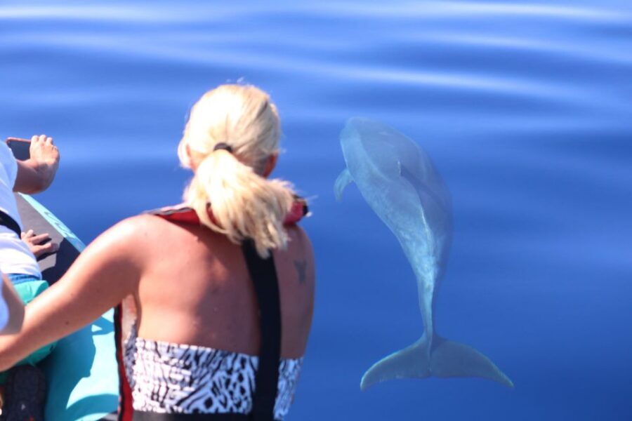 From Calheta: Whale and Dolphin Watching RIB Boat Tour - Calheta departure: finding H2oMadeira at the marina