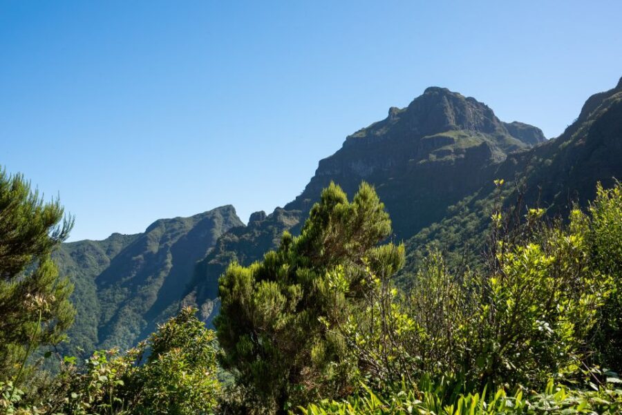 From Funchal: Best of Madeira's West Tour - Price and value: $42 for 8 hours, plus the Cabo Girão add-on