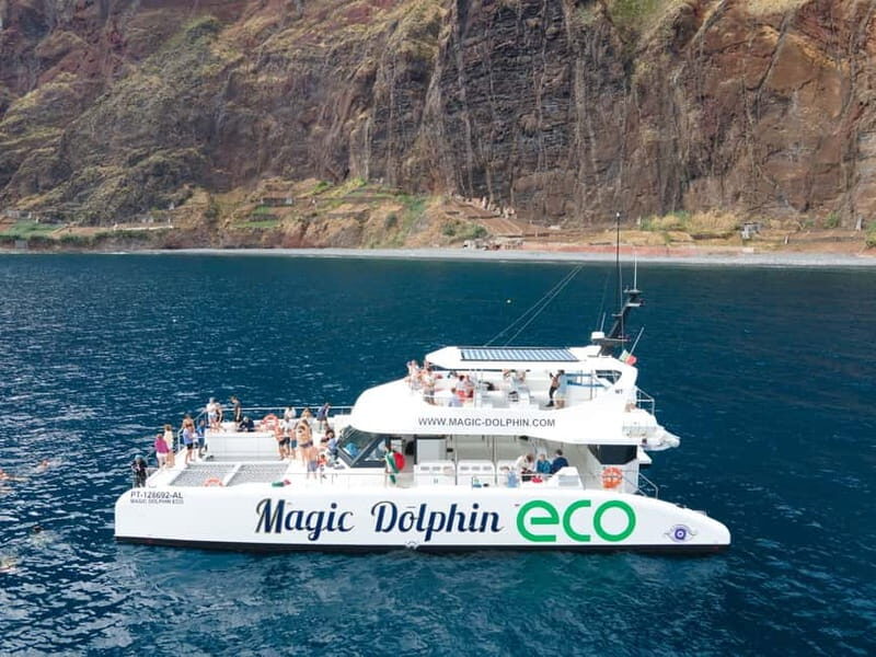 From Funchal: Ecological Catamaran Dolphin Whale Watching - A Hybrid-Electric Catamaran Built for Real Wildlife Watching