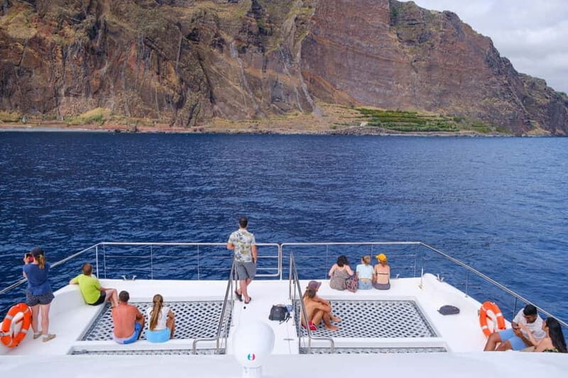 From Funchal: Ecological Catamaran Dolphin Whale Watching - The Offshore Search: What You’re Actually Looking For