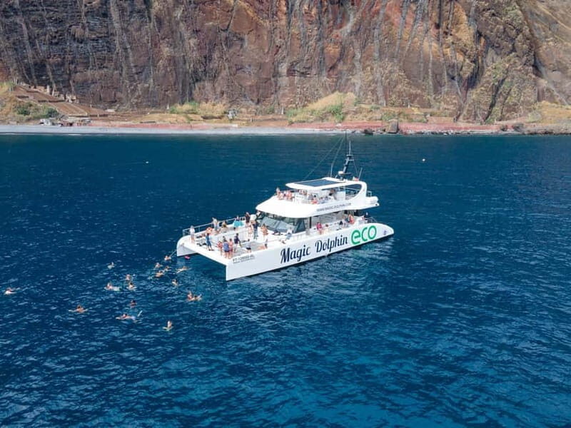From Funchal: Ecological Catamaran Dolphin Whale Watching - When You Find Dolphins and Whales, Here’s What the Viewing Feels Like