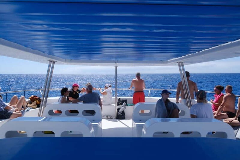 From Funchal: Ecological Catamaran Dolphin Whale Watching - Cabo Girão on the Return: Views That Feel Like a Bonus Trip