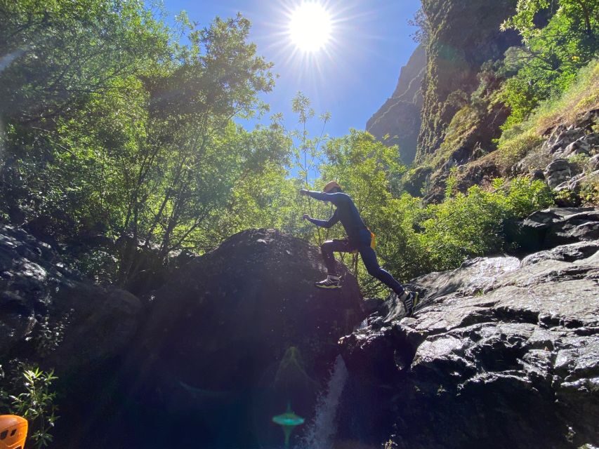 From Funchal: Intermediate Canyoning Adventure (Level 2) - Fitness and who should skip Level 2