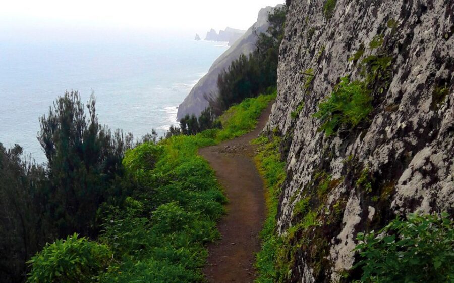 From Funchal: Machico to Porto da Cruz Larano Cliff Hike - From Machico to Porto da Cruz: What the 8-Hour Day Really Feels Like