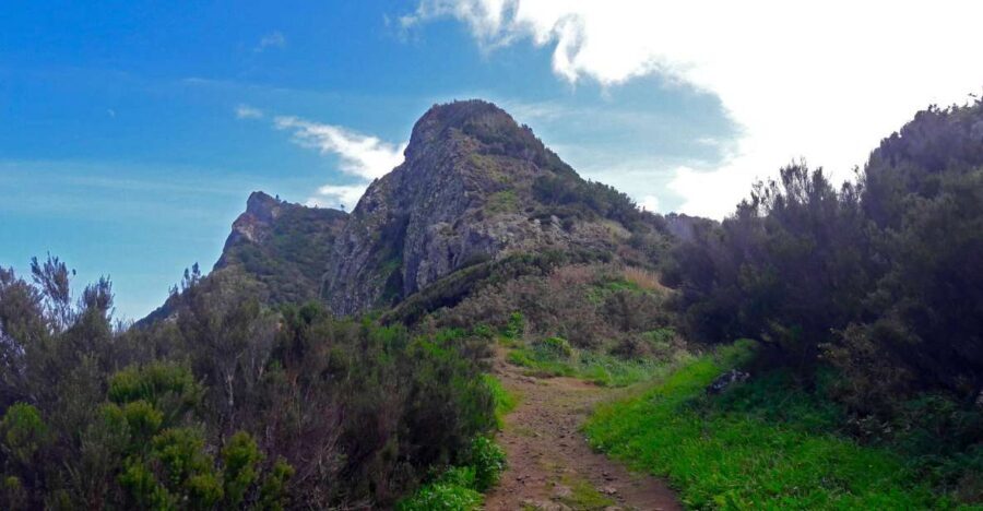 From Funchal: Machico to Porto da Cruz Larano Cliff Hike - What You Pass Along the Way: Historic Paths, Farming Country, and Levadas