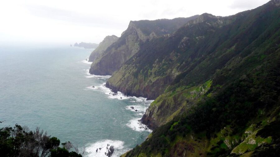 From Funchal: Machico to Porto da Cruz Larano Cliff Hike - Price and Value for $50: What You Get (and What You Must Bring)