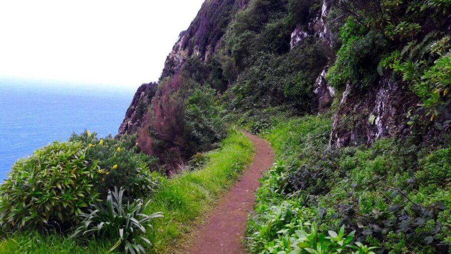 From Funchal: Machico to Porto da Cruz Larano Cliff Hike - Who Should Book This (and Who Should Skip It)