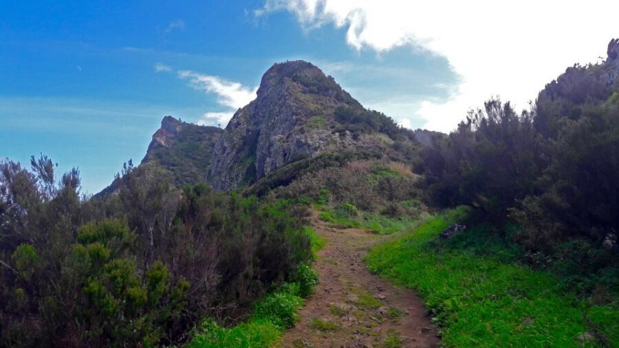 From Funchal: Machico to Porto da Cruz Larano Cliff Hike - The Views You’ll Spend Your Energy For: São Lourenço, Porto Santo, and Two Coasts
