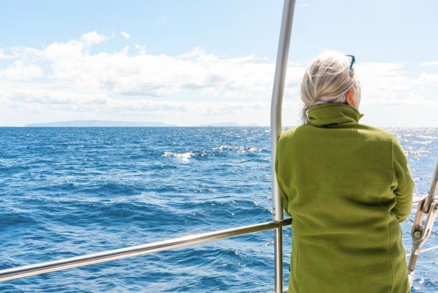 From Funchal: Madeira Dolphin and Whale Watching Tour - Onboard Comfort: Space, Nets at the Front, Toilets, and the Bar