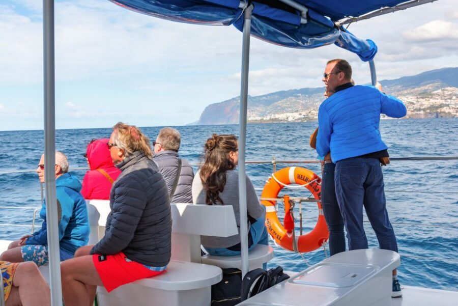 From Funchal: Madeira Dolphin and Whale Watching Tour - Who This Trip Fits Best (and Who Might Skip It)