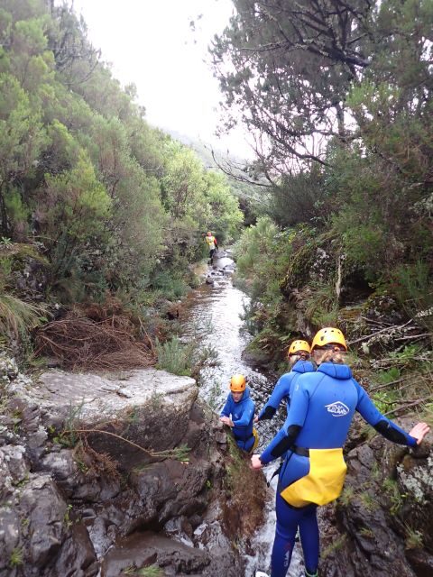 From Funchal: Madeira Island Canyoning for Beginners - What you’ll do in the canyon: slides, swim lines, abseils, and jumps