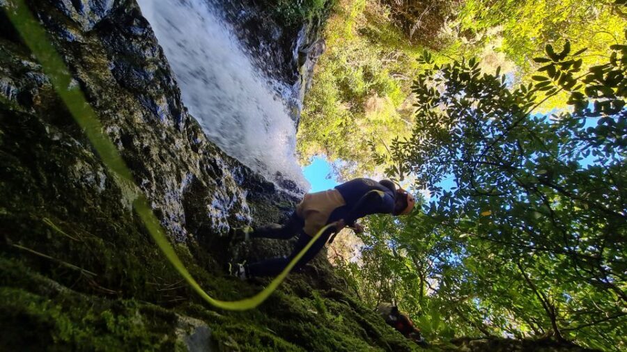 From Funchal: Madeira Island Canyoning for Beginners - The Camacha guided stretch: why the middle two hours are where it clicks