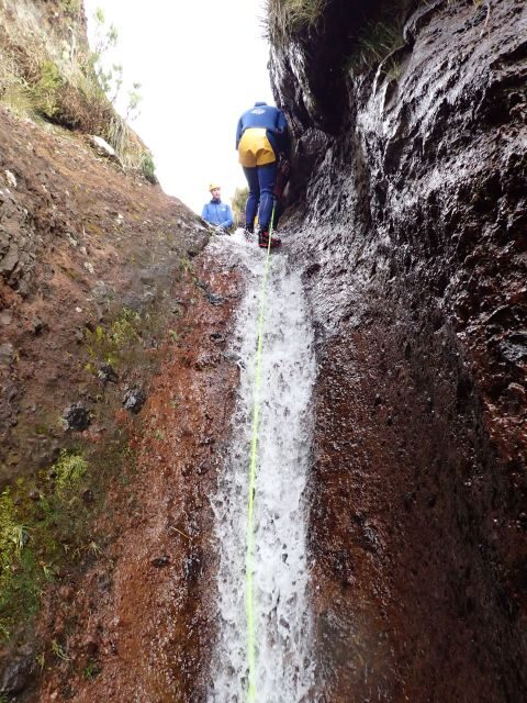 From Funchal: Madeira Island Canyoning for Beginners - Getting from Funchal to Camacha: the part that sets your rhythm