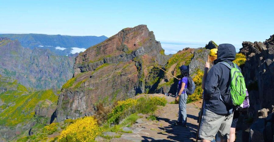 From Funchal: Madeira Peaks Mountain Walk - Leaving Funchal in a comfy van for Madeira’s high country