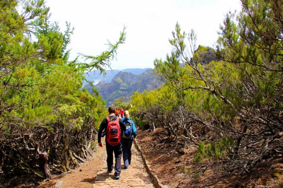 From Funchal: Madeira Peaks Mountain Walk - The return: why the hike can feel harder than it looks
