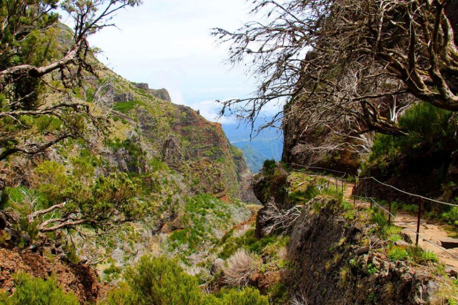 From Funchal: Madeira Peaks Mountain Walk - Group size, guide style, and how the day stays manageable