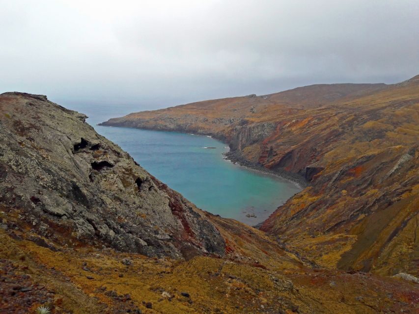 From Funchal: Ponta de São Lourenço/Caniçal Full-Day Hike - A Madeira Hike That Feels Like Two Coasts at Once
